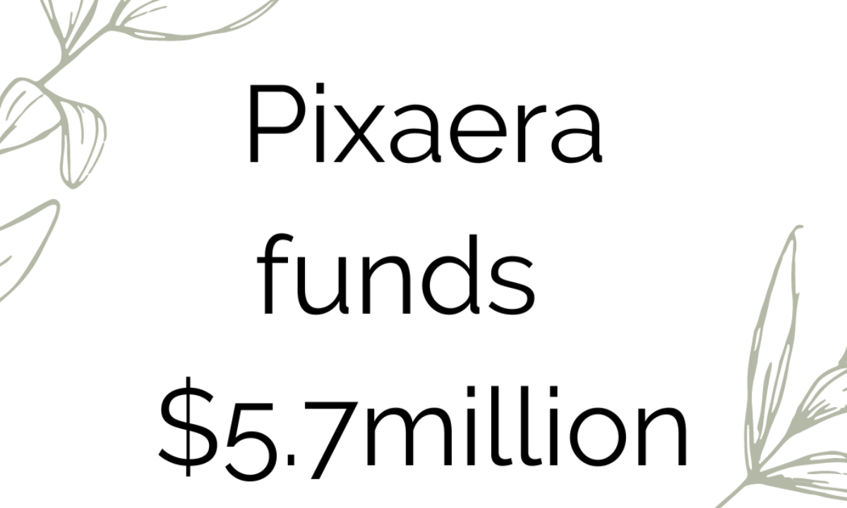 Pixaera: Roblox for Corporate World Raises $5.7 Million